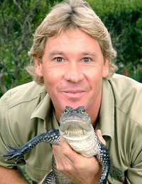Read more about the article Стив Ирвин в сериале  «Охотник за крокодилами»